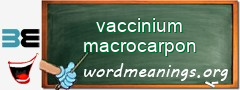 WordMeaning blackboard for vaccinium macrocarpon